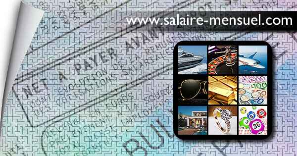 Fortune Salaire Mensuel de Dalkia Recrutement Combien gagne t il d