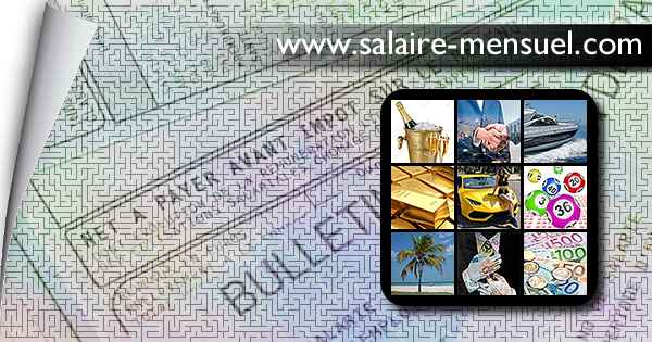 fortune-salaire-mensuel-de-pioneer-definition-social-studies-combien