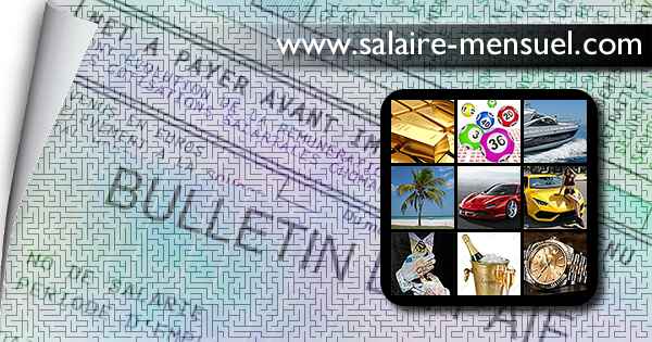 fortune-salaire-mensuel-de-service-delivery-manager-vs-project-combien