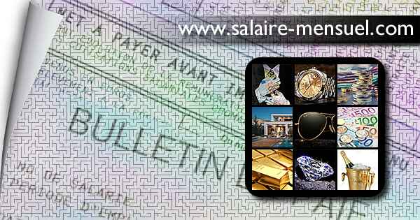 Fortune Salaire Mensuel de Une Piece En Plus Velizy Combien gagne t il